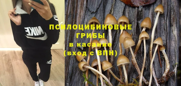 хмурый Балабаново
